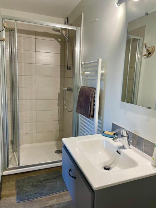 Appartement Independant 30 M² A 500M Du Lac, 2 Velos Et Parking Fournis Sévrier Dış mekan fotoğraf